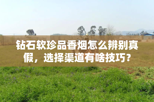 钻石软珍品香烟怎么辨别真假，选择渠道有啥技巧？
